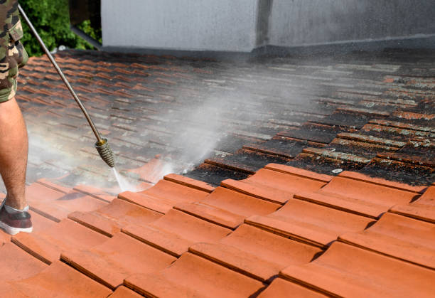 Best Roof Pressure Washing  in National Harbor, MD